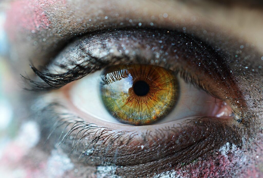 eye, lens, photography, green, orange, human, face, eyelashes, vision, portrait, sparkle, glitter, makeu, eye, eye, eye, eye, eye